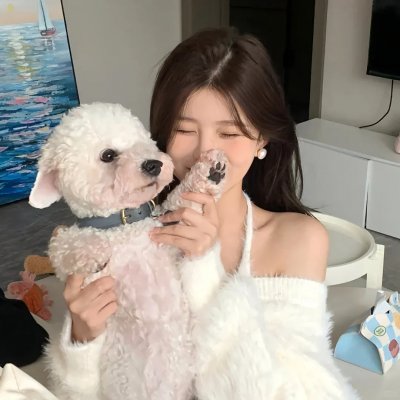 花落莺啼春